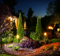 Landscape Lighting